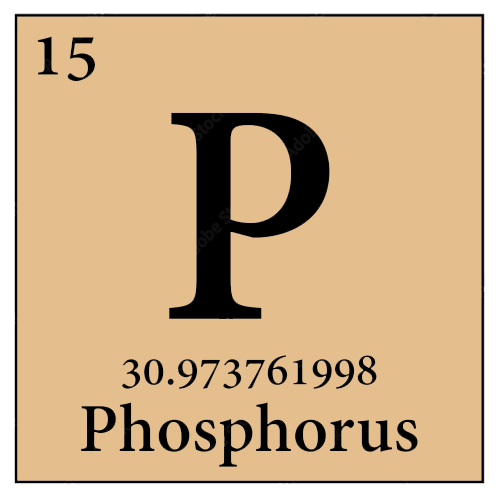 Phosphorus is Found in Pure Shilajeet